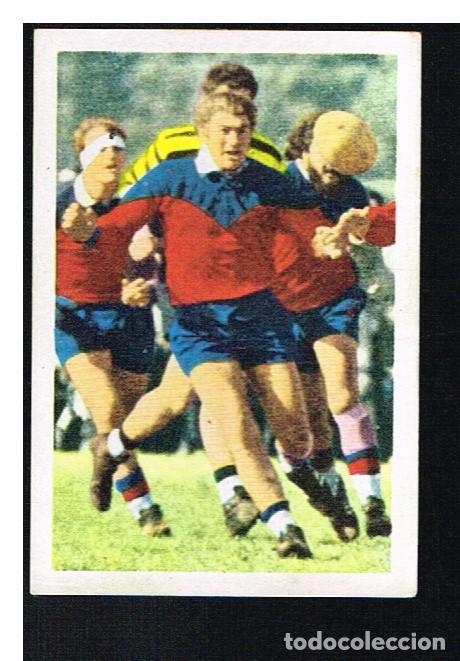 Collezionismo sportivo: ETOILES DU RUGBY EN ACTION 1972/1973 - CROMO N&ordm; 228 - PIERRE SECHEER - PANINI - NUNCA PEGADO