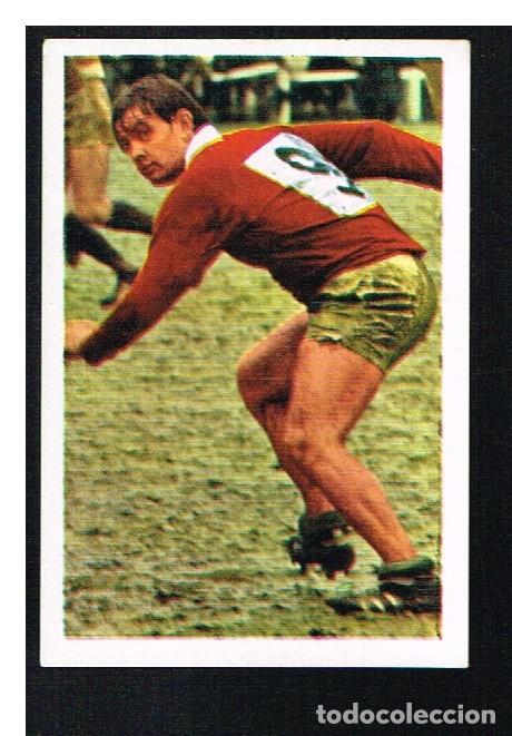 Collezionismo sportivo: ETOILES DU RUGBY EN ACTION 1972/1973 - CROMO N&ordm; 241 - ROBERT BARREAU - PANINI - NUNCA PEGADO