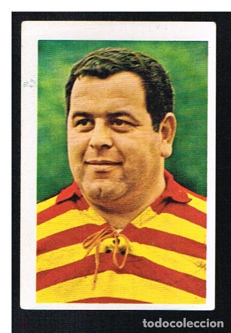 Collezionismo sportivo: ETOILES DU RUGBY EN ACTION 1972/1973 - CROMO N&ordm; 280 - JACQUES FALCO - PANINI - NUNCA PEGADO