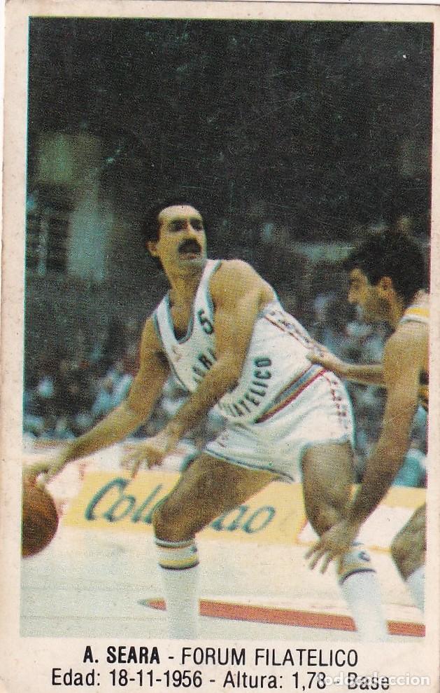 Sammelleidenschaft Sport: CROMO BASKET BALONCESTO A. SEARA FORUM FILAT&Eacute;LICO N&ordm; 50 CONVERSE NO ESTUVIERON PEGADOS