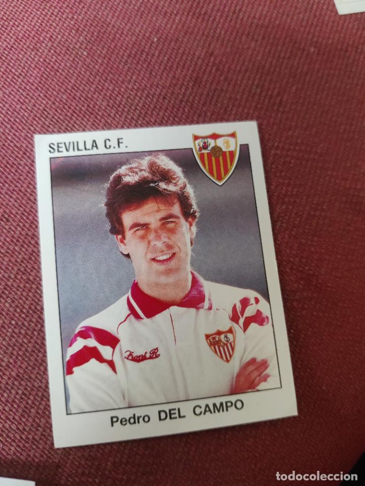 Sammelleidenschaft Sport: 247 del campo sevilla panini 1993 1994 93 94 sin pegar