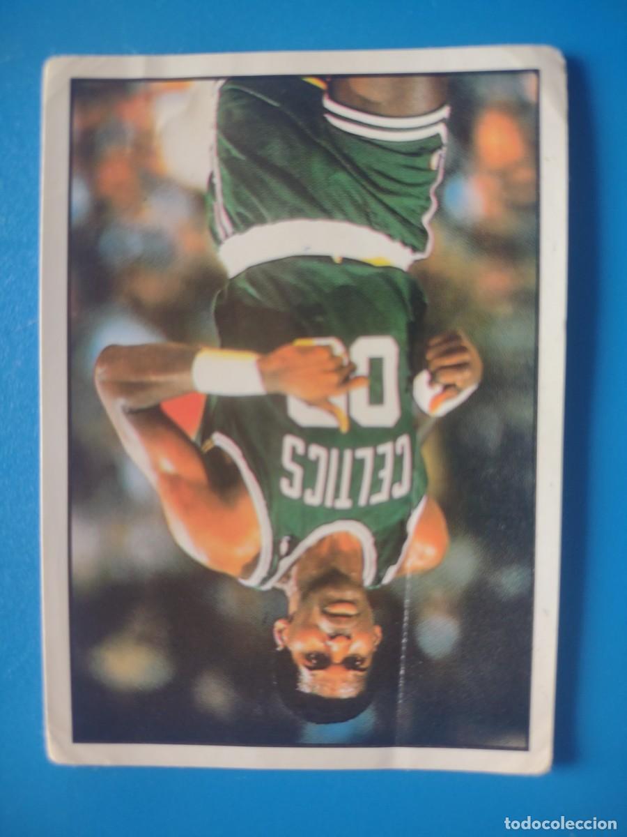 Boston Celtics panini store lot