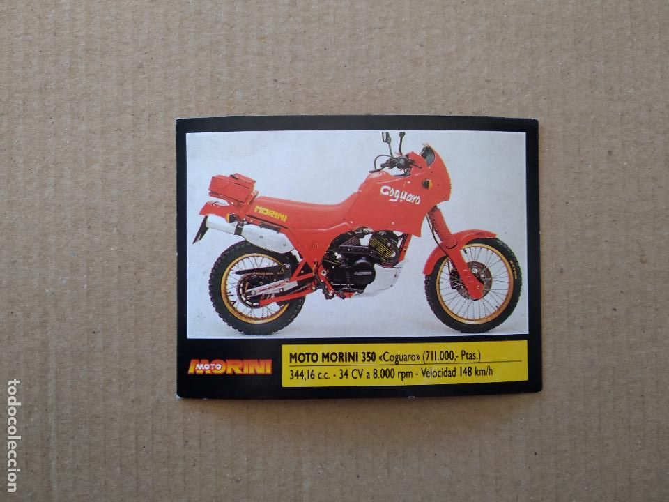Coleccionismo deportivo: 88 MOTO MORINI 350 COGUARO MOTO CROMO MOTOR 16 EDICIONES ESTE 1990