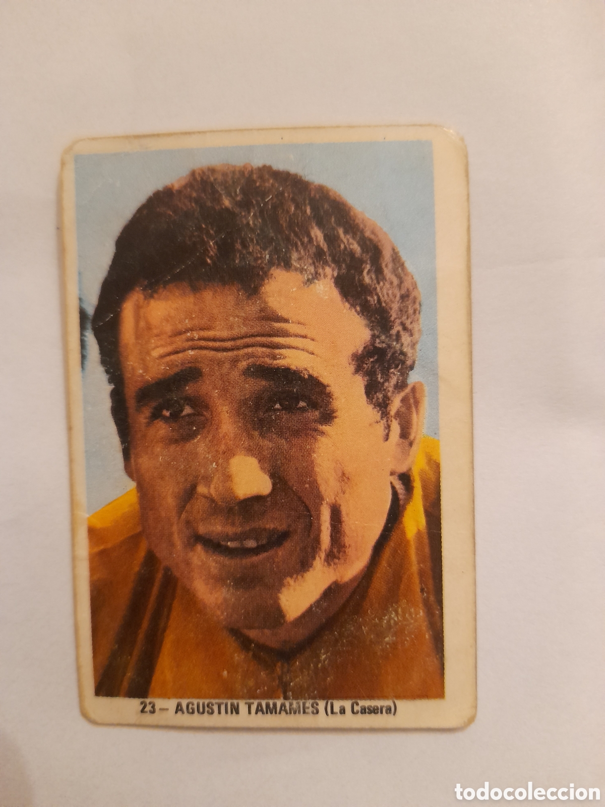 Coleccionismo deportivo: Cromo de ciclismo, Agust&iacute;n Tamames (La Casera) temporada de 1974