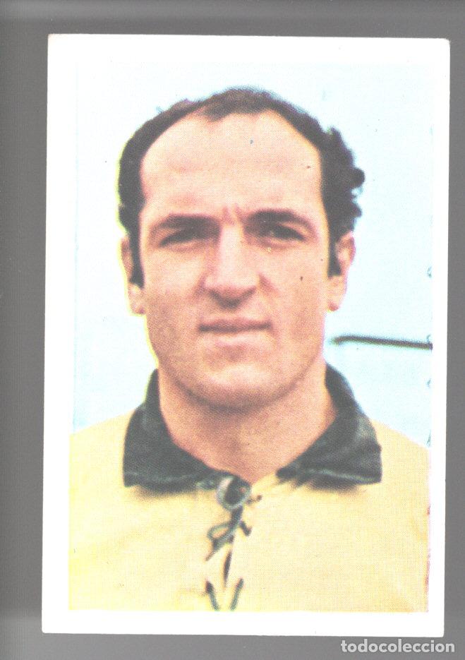 Sammelleidenschaft Sport: ETOILES DU RUGBY EN ACTION 1972/1973 - CROMO N&ordm; 269 - CLAUDE MUR - PANINI - NUNCA PEGADO