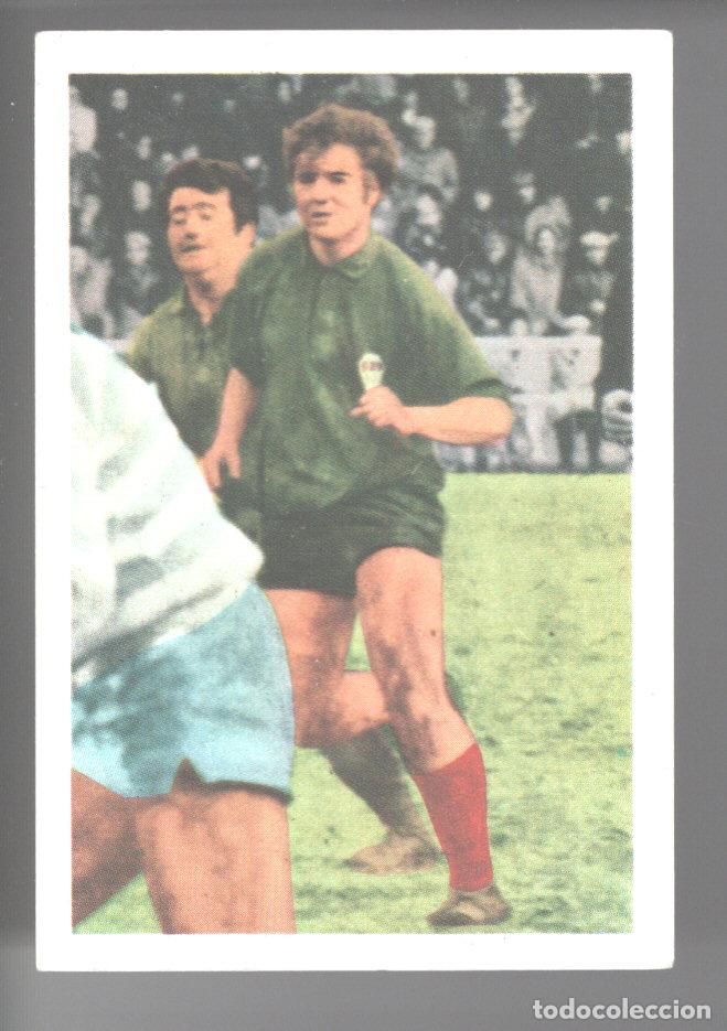 Sammelleidenschaft Sport: ETOILES DU RUGBY EN ACTION 1972/1973 - CROMO N&ordm; 59 - ANDRE PEDELUCQ - PANINI - NUNCA PEGADO