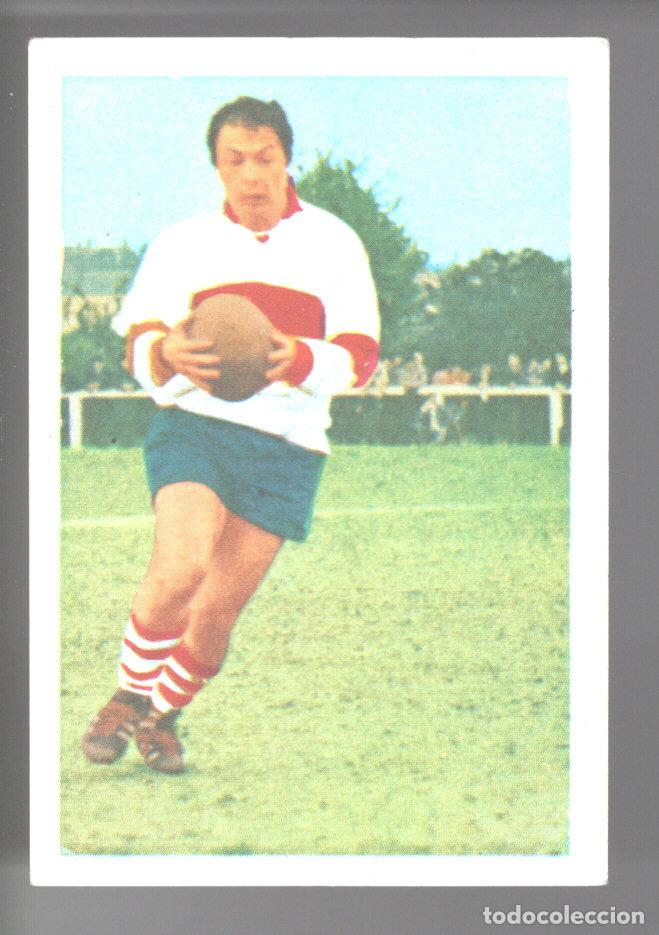Colecionismo desportivo: ETOILES DU RUGBY EN ACTION 1972/1973 - CROMO N&ordm; 53 - MICHEL BEGARIES - PANINI - NUNCA PEGADO