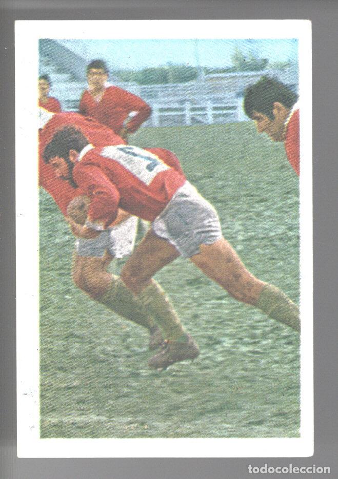 Colecionismo desportivo: ETOILES DU RUGBY EN ACTION 1972/1973 - CROMO N&ordm; 32 - ROSARIO PECCOLO - PANINI - NUNCA PEGADO