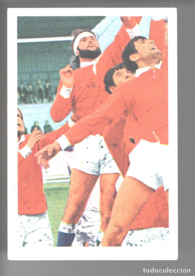 Colecionismo desportivo: ETOILES DU RUGBY EN ACTION 1972/1973 - CROMO N&ordm; 31 - PHILIPPE LEBE - PANINI - NUNCA PEGADO