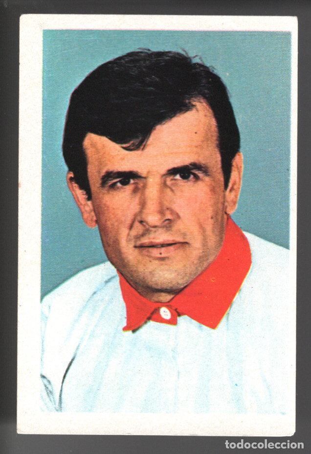 Colecionismo desportivo: ETOILES DU RUGBY EN ACTION 1972/1973 - CROMO N&ordm; 274 - JACQUES SUQUET - PANINI - NUNCA PEGADO