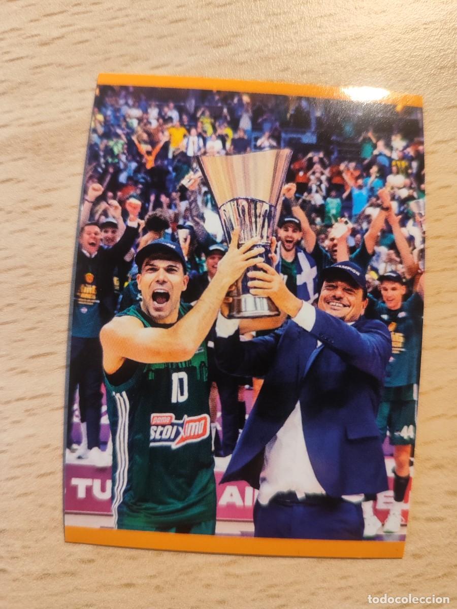 Collezionismo sportivo: &nbsp;423 CAMPE&Oacute;N 23 24 - PANATHINAIKOS&nbsp; EUROLEAGUE 2024 25 - ROLL OF HONOUR PANINI EUROLIGA 24 2025 BALO
