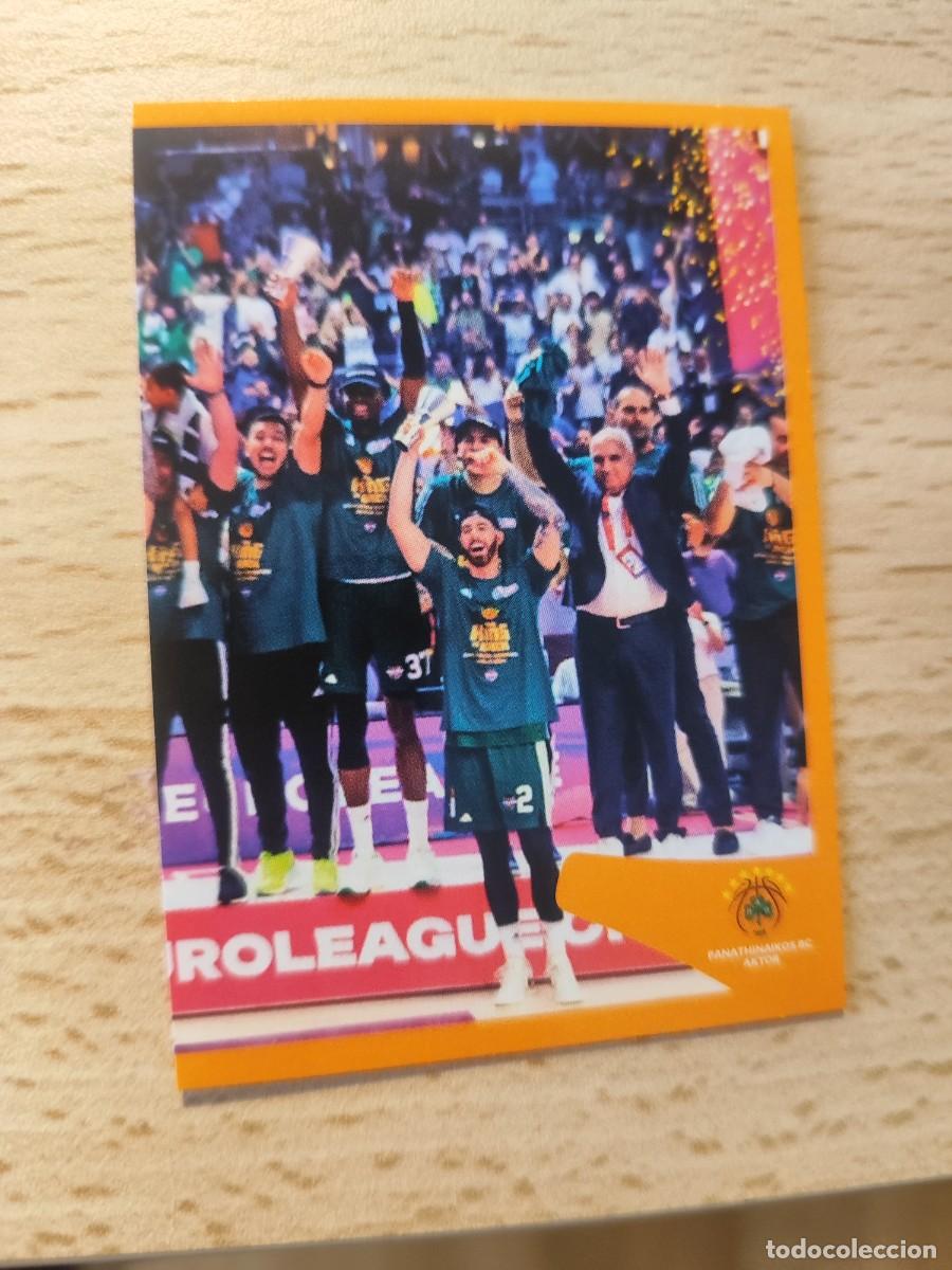 Coleccionismo deportivo: &nbsp;424 CAMPE&Oacute;N 23 24 - PANATHINAIKOS EUROLEAGUE 2024 25 - ROLL OF HONOUR PANINI EUROLIGA 24 2025 BALON