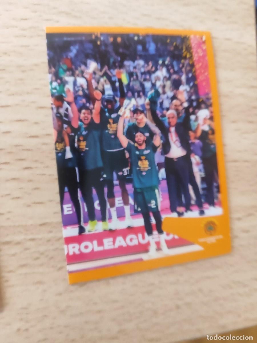 Collezionismo sportivo: &nbsp;424 CAMPE&Oacute;N 23 24 - PANATHINAIKOS EUROLEAGUE 2024 25 - ROLL OF HONOUR PANINI EUROLIGA 24 2025 BALON