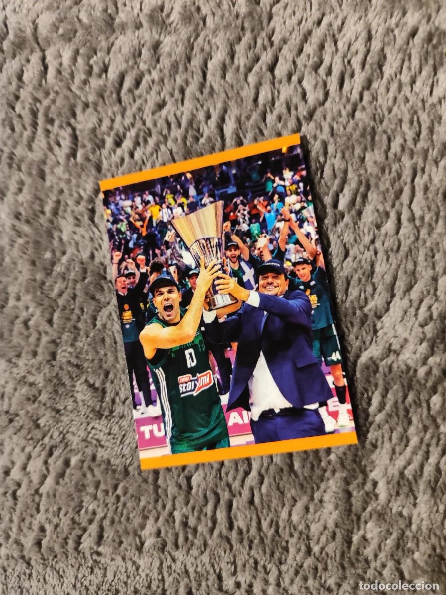 Coleccionismo deportivo: &nbsp;423 CAMPE&Oacute;N 23 24 - PANATHINAIKOS&nbsp; EUROLEAGUE 2024 25 - ROLL OF HONOUR PANINI EUROLIGA 24 2025 BALO