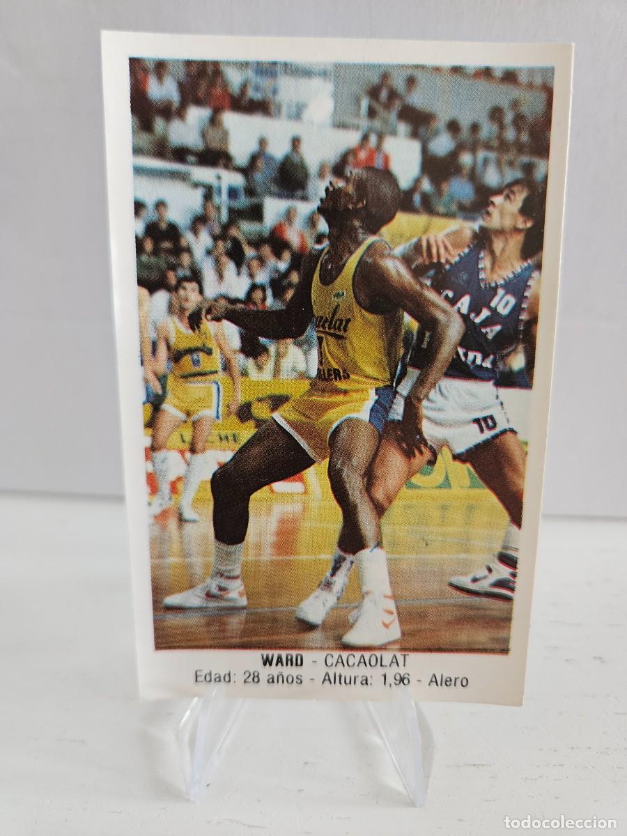 Collezionismo sportivo: CROMO DE BALONCESTO. CACAOLAT GRANOLLERS. WARD 20. LIGA ACB. TEMPORADA 1987 1988. CONVERSE.