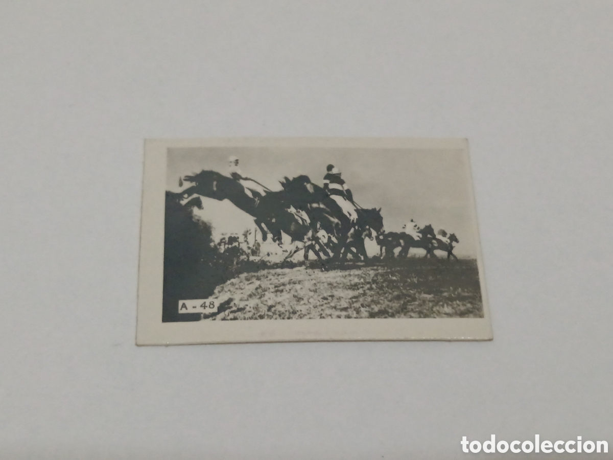 Colecionismo desportivo: Sheila&rsquo;s Cottage h&iacute;pica REPORTAJES FOTOGR&Aacute;FICOS TABAY A-48 MARZO 1948