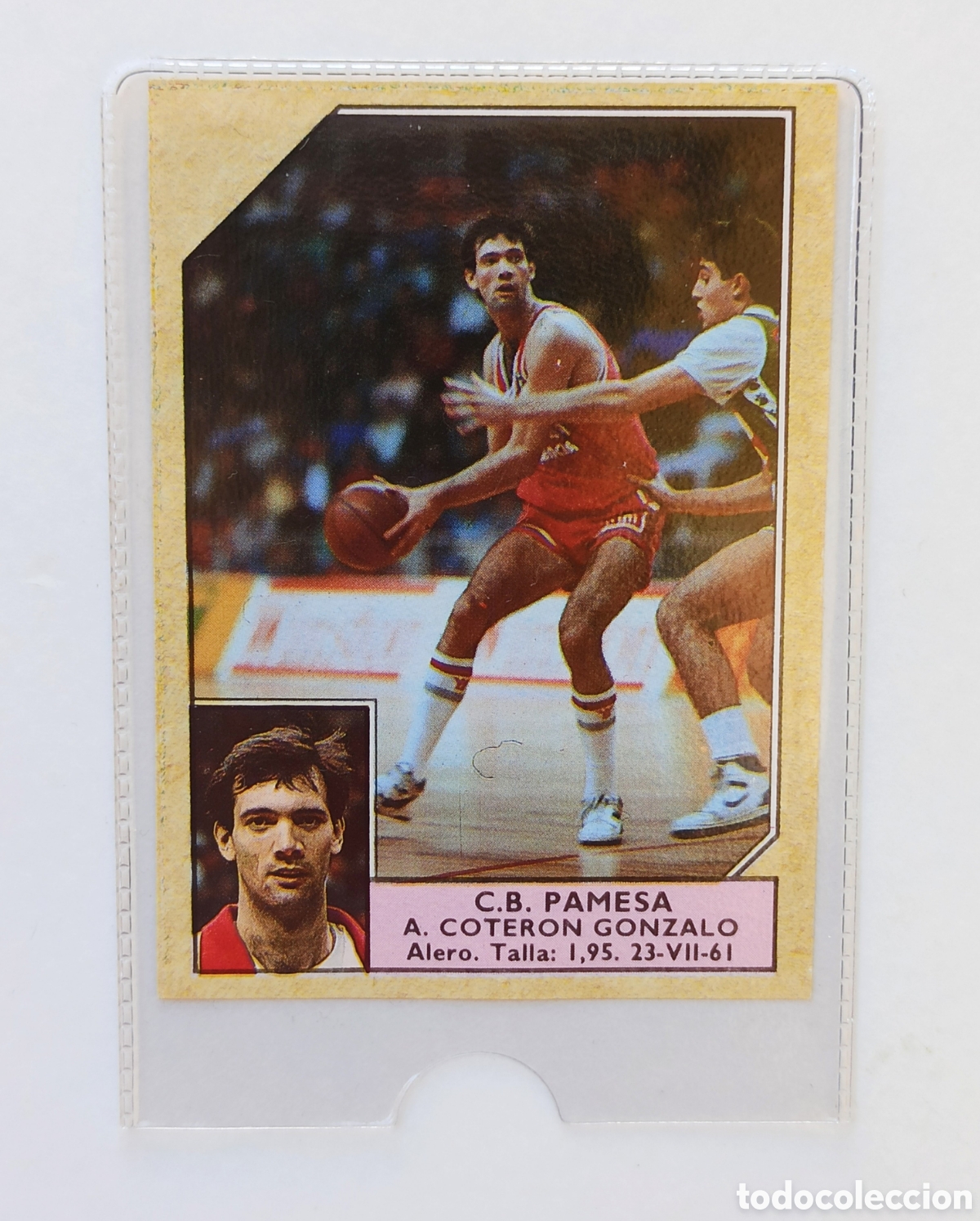 Collezionismo sportivo: A. COTERON GONZALO 128 ACB PAMESA LIGA 89