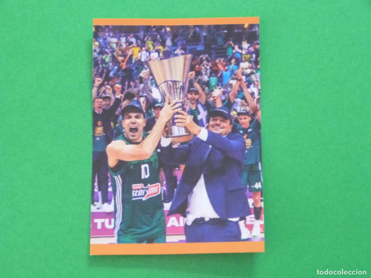 Colecionismo desportivo: CROMO BALONCESTO EQUIPO PANATHINAIKOS CAMPEON 23-24 SIN PEGAR N&ordm; 423 EUROLIGA 2024-2025/24-25 PANINI