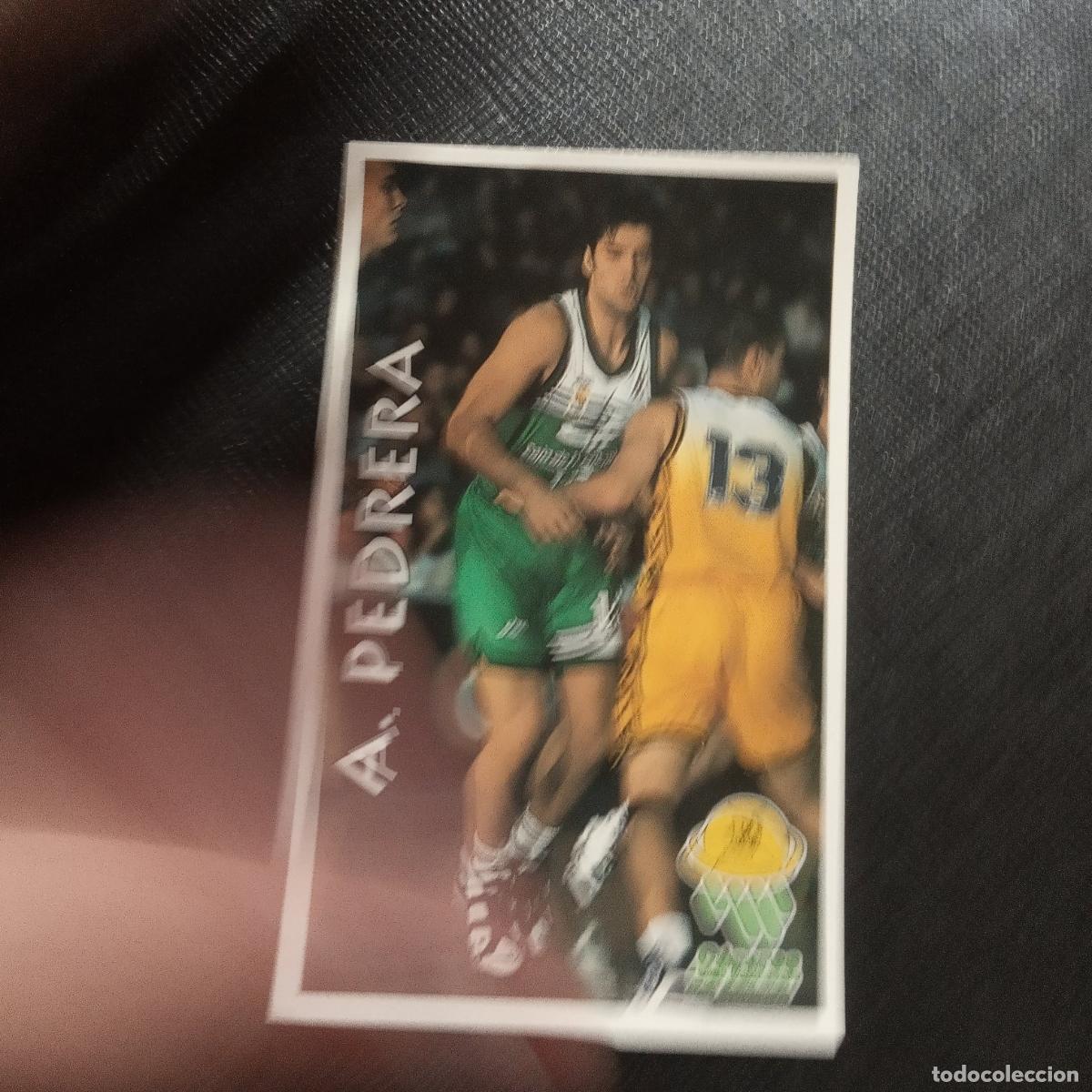 Coleccionismo deportivo: 122 PEDRERA CACERES MUNDICROMO ACB 96 97 BALONCESTO 1996 1997 - SIN PEGAR - A81 PG262