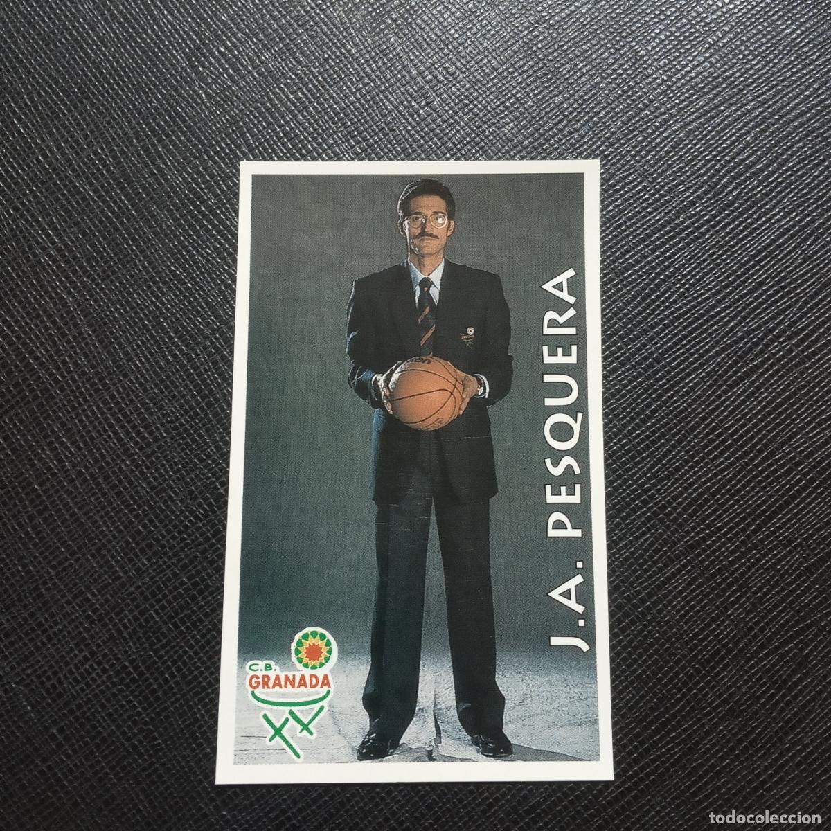 Coleccionismo deportivo: 230 PESQUERA GRANADA MUNDICROMO ACB 96 97 BALONCESTO 1996 1997 - SIN PEGAR - A81 PG442 B