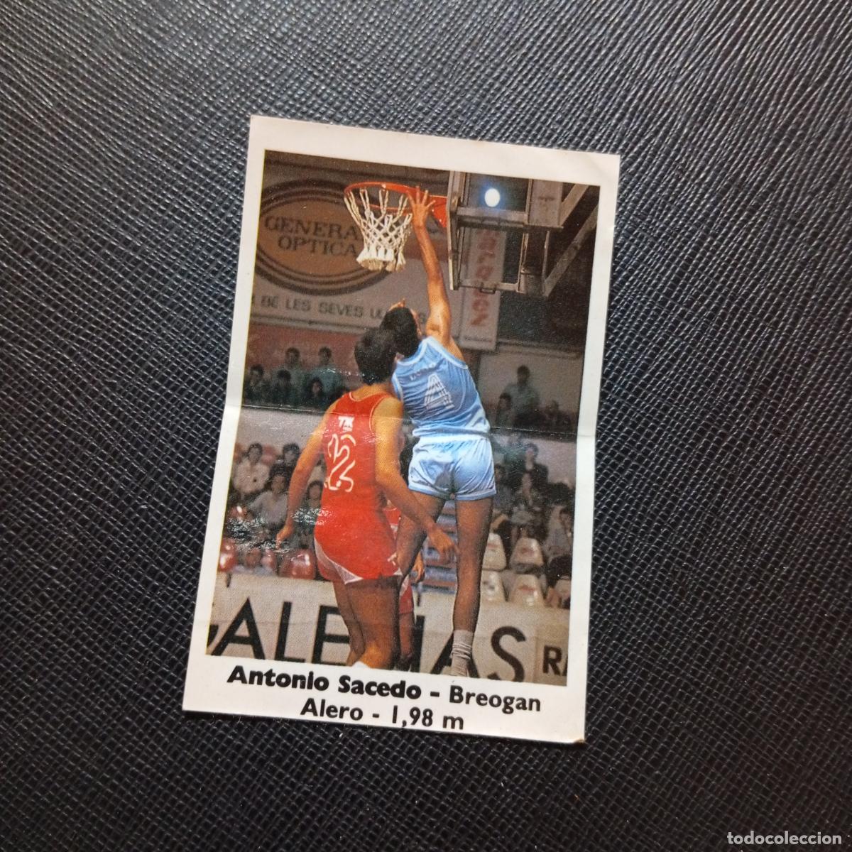 Coleccionismo deportivo: 18 ANTONIO SACEDO BREOGAN BOLLYCAO BASKET 88 89 ACB BALONCESTO CROMO - SIN PEGAR - A35 PG145
