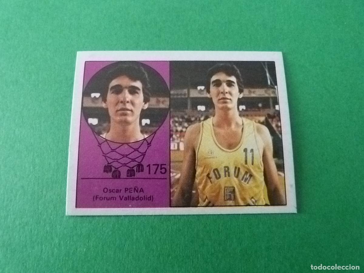 Colecionismo desportivo: CROMO BALONCESTO PE&Ntilde;A FORUM VALLADOLID DESPEGADO N&ordm; 175 LIGA BALONCESTO 1984-1985/84-85 CLESA