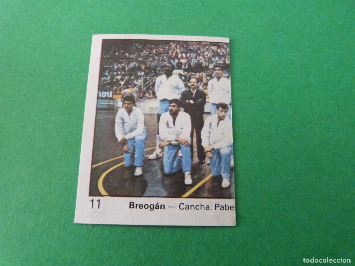 Coleccionismo deportivo: CROMO BALONCESTO ALINEACION BREOGAN DESPEGADO N&ordm; 11 LIGA BALONCESTO 1984-1985/84-85 CLESA