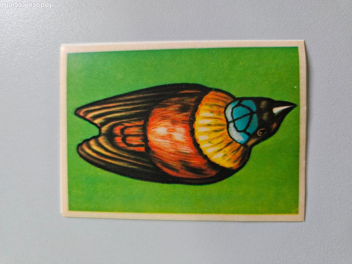 Coleccionismo deportivo: Para nosotras &aacute;lbum maga cromo 206