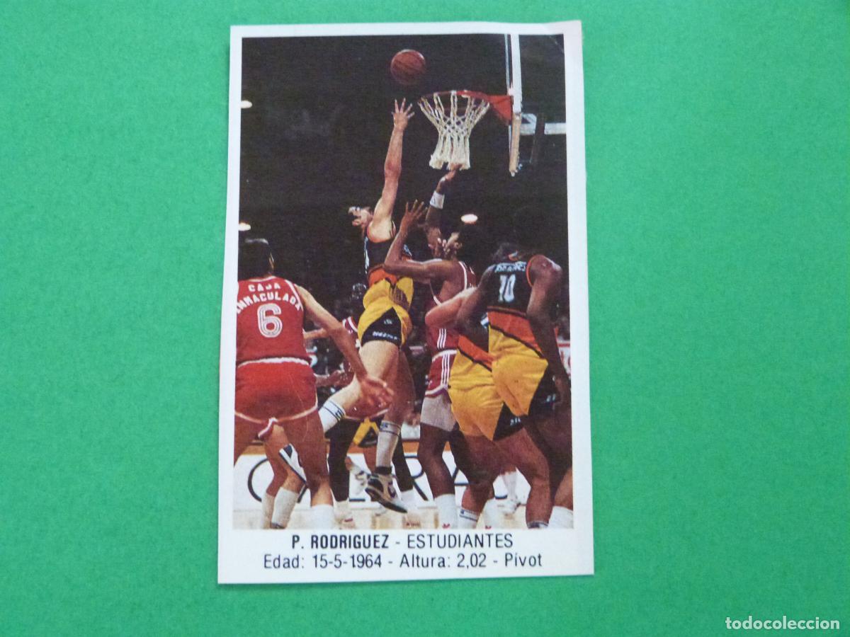 Coleccionismo deportivo: CROMO BALONCESTO P. RODRIGUEZ ESTUDIANTES RECORTADO N&ordm; 61 LIGA BALONCESTO 88 J.MERCHANTE
