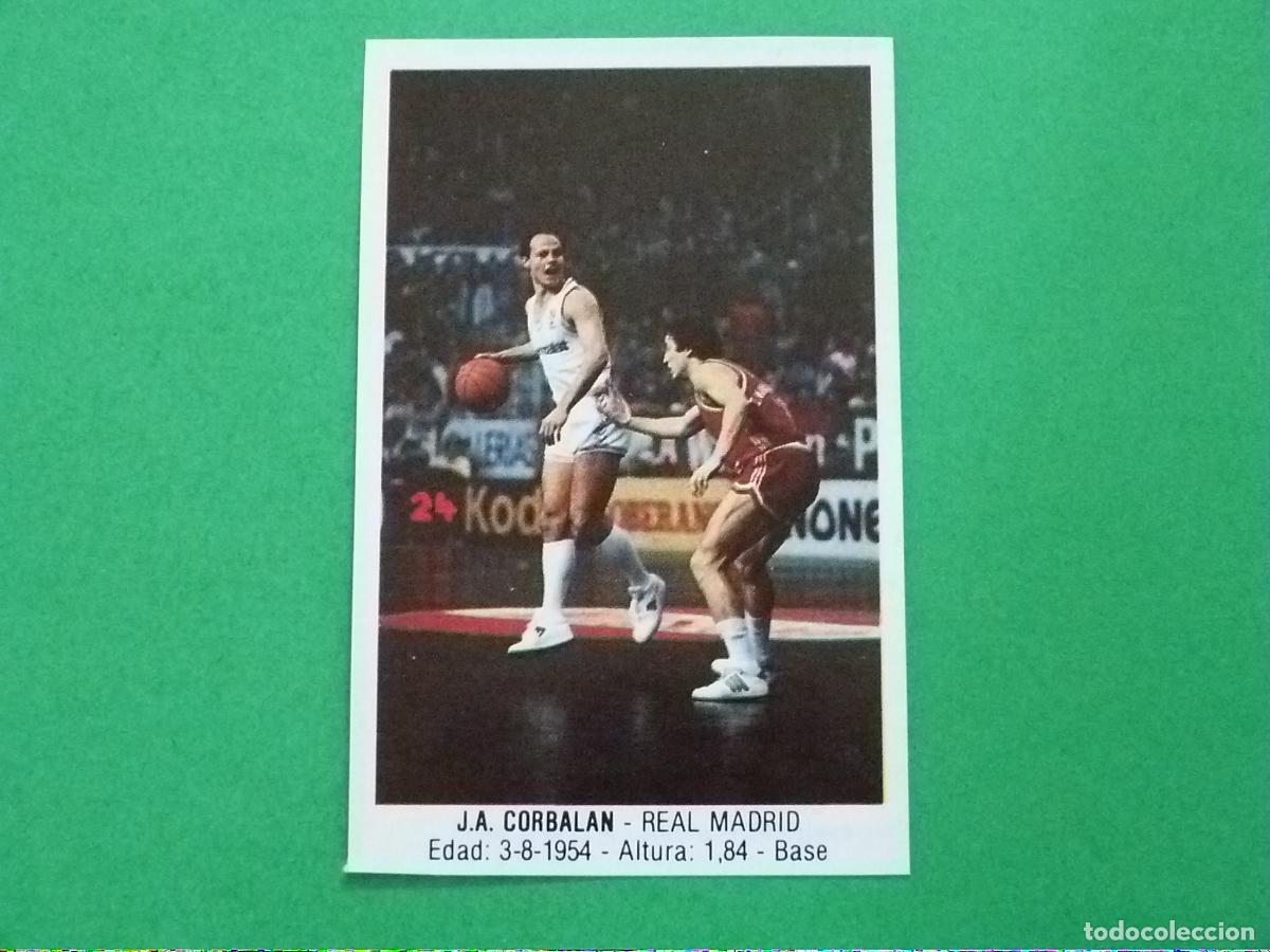 Coleccionismo deportivo: CROMO BALONCESTO J.A. CORBALAN REAL MADRID C.F. RECORTADO N&ordm; 92 LIGA BALONCESTO 88 J.MERCHANTE