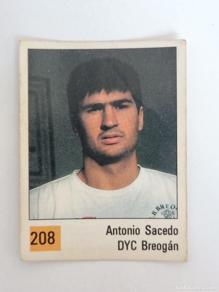 Coleccionismo deportivo: #208 ANTONIO SACEDO (DYC BREOGAN) LIGA ACB BASKET 90 PANINI