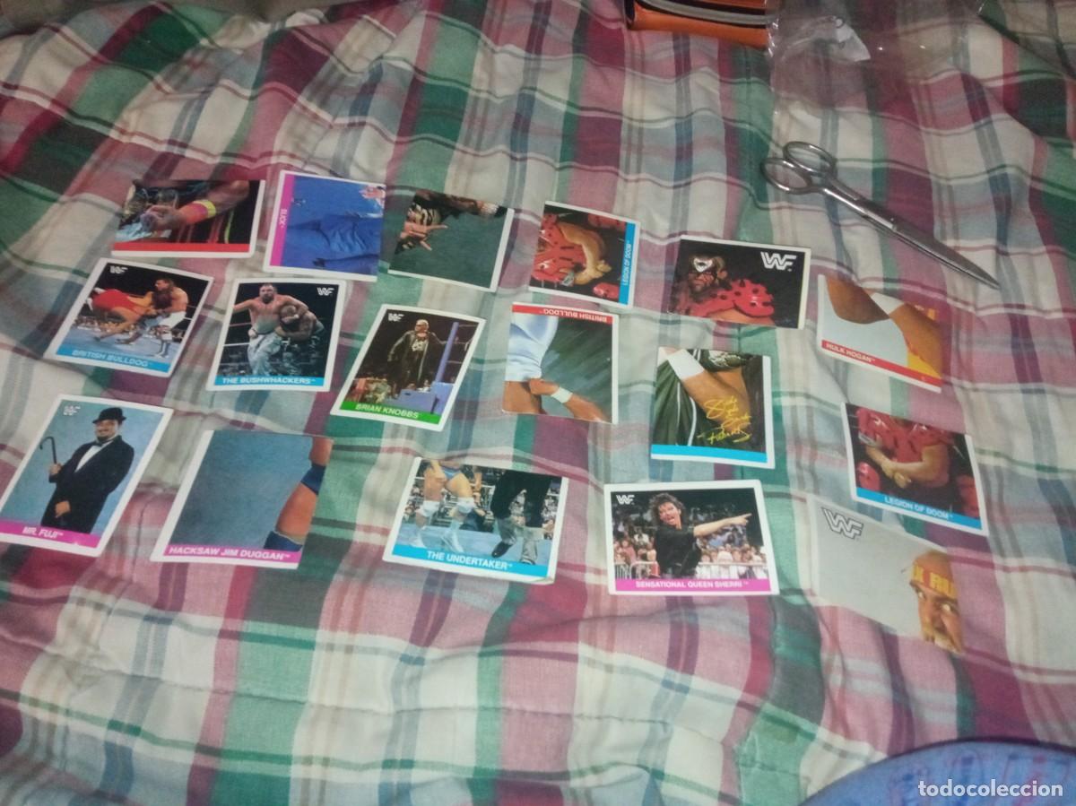 Coleccionismo deportivo: Lote de cromos de lucha libre