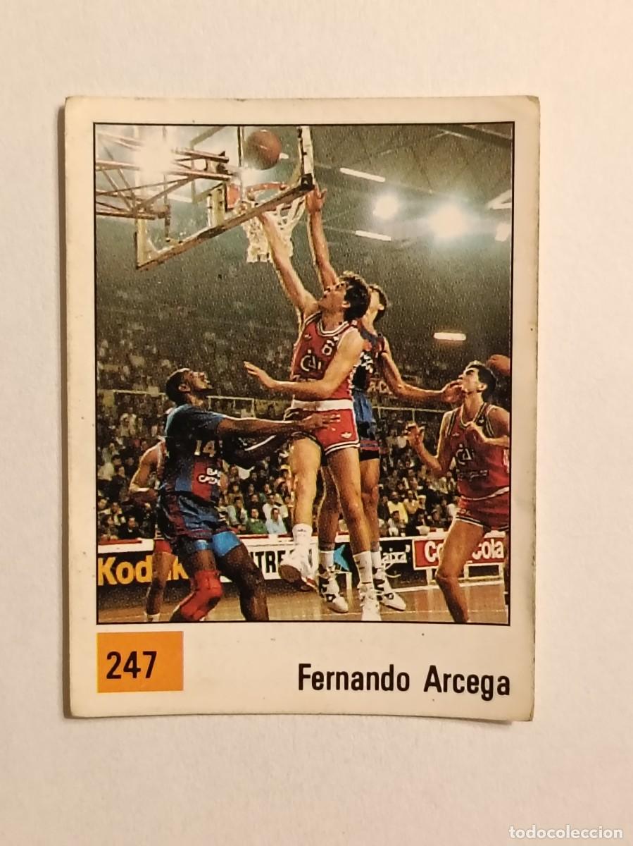 Coleccionismo deportivo: #247 FERNANDO ARCEGA (CAI ZARAGOZA) LIGA ACB BASKET 90 PANINI