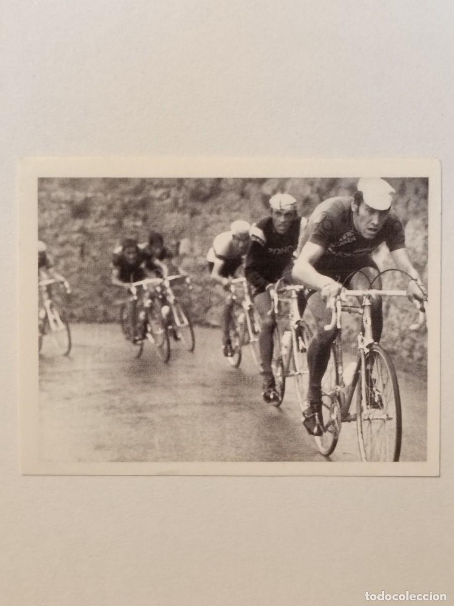 Coleccionismo deportivo: #415 EDDY MERCKX (1974 MILAN-SAN REMO) CICLISMO SPRINT 2010 PANINI