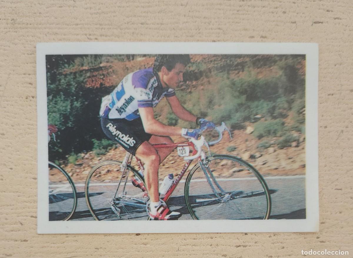 Coleccionismo deportivo: Cromo Ases del Ciclismo N&deg; 24 Fher 1988 Adhesivo