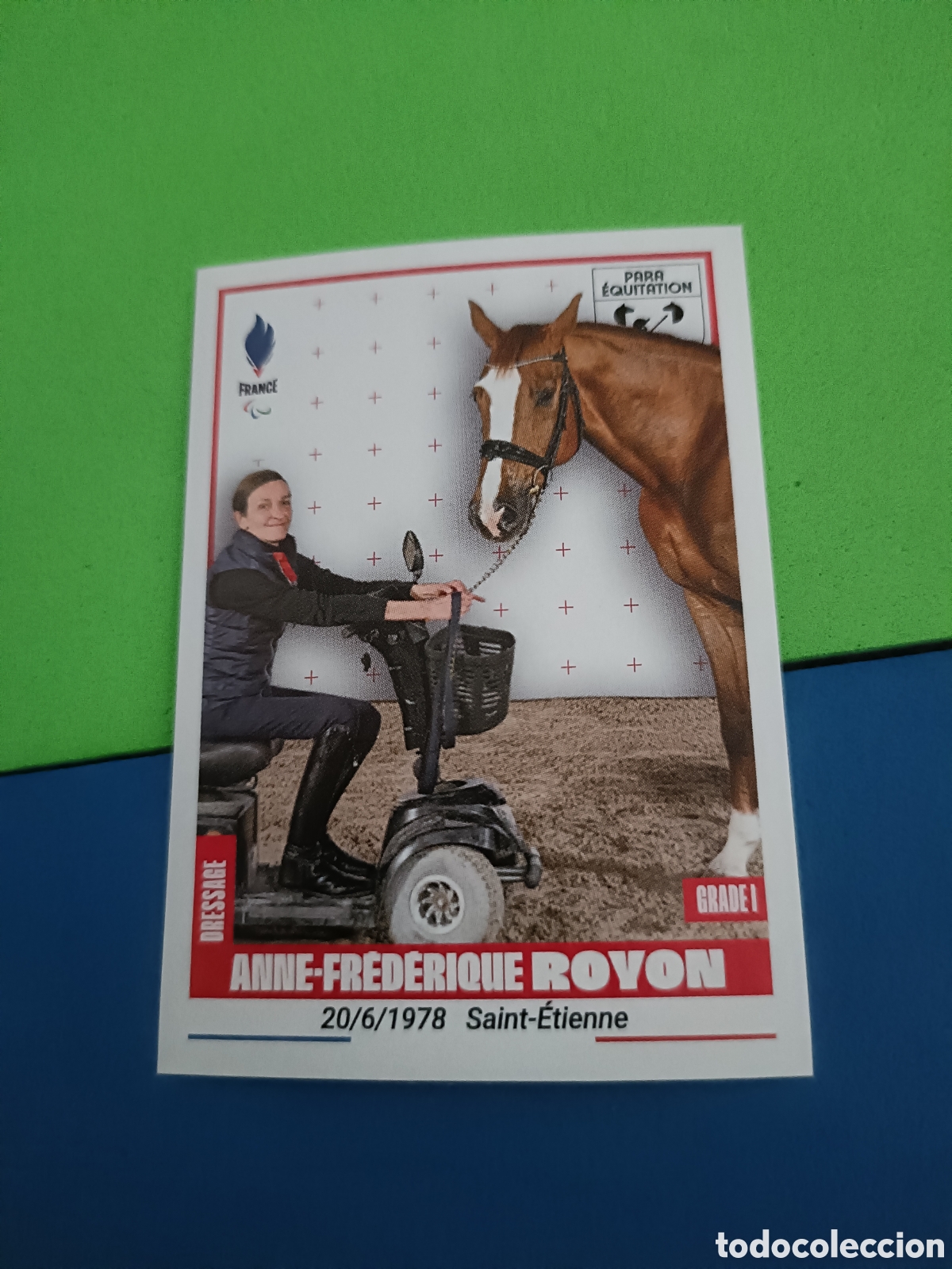 Coleccionismo deportivo: 465 Anne-Frederique Royon - Panini Equipe de France Olympique & Paral&iacute;mque