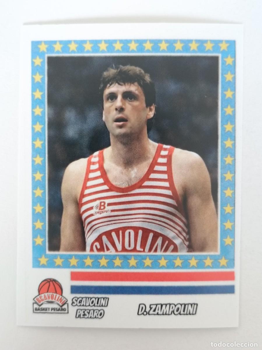 Coleccionismo deportivo: D. ZAMPOLINI (SCAVOLINI PESARO) RECOPA DE EUROPA 87/88 BALONCESTO
