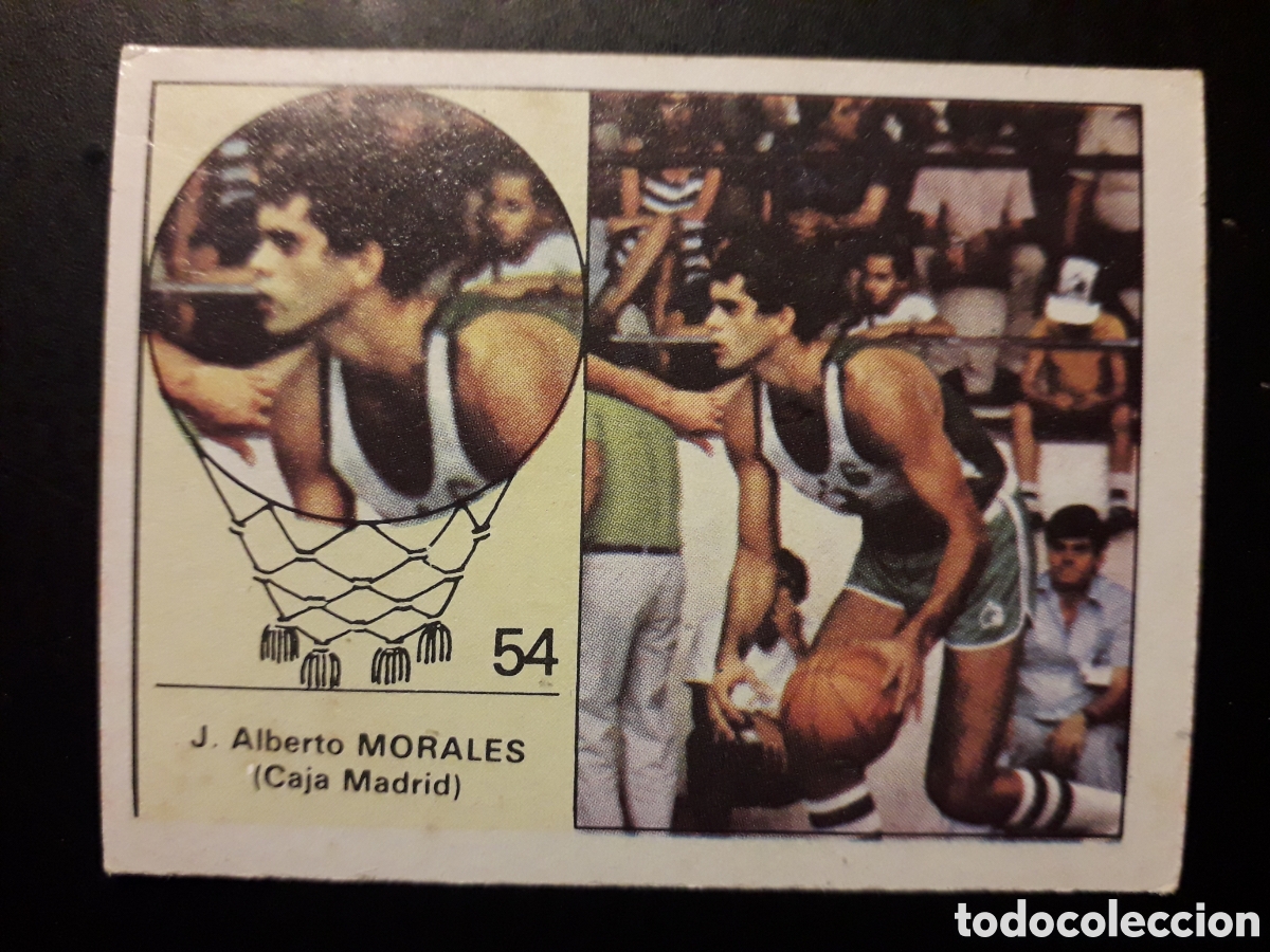 Coleccionismo deportivo: MORALES CAJA MADRID N&deg; 54 BALONCESTO MERCHANTE CLESA 1984 1985 84 85 SIN PEGAR, PEDIDO M&Iacute;NIMO 3&euro;