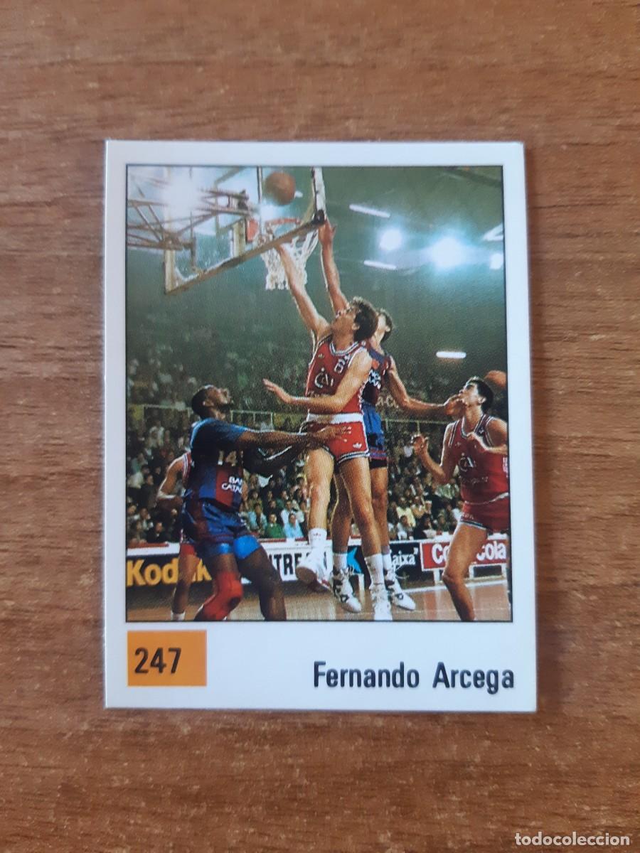Coleccionismo deportivo: N&deg;247 FERNANDO ARCEGA ESTRELLAS LIGA ACB 1990 PANINI BASKET 90. NUNCA PEGADO, SIN PEGAR
