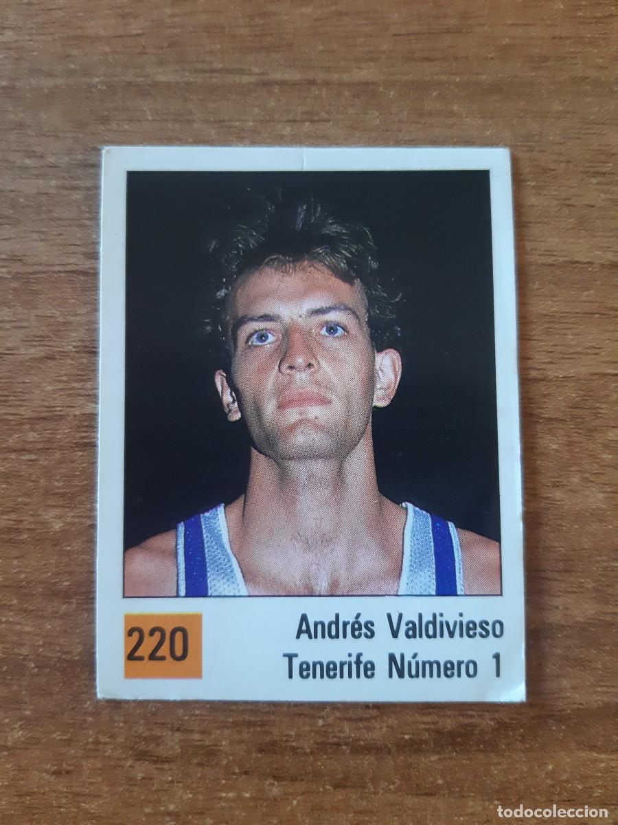 Sammelleidenschaft Sport: N&deg;220 ANDR&Eacute;S VALDIVIESO TENERIFE N&Uacute;MERO 1 LIGA ACB 1990 PANINI BASKET 90. NUNCA PEGADO, SIN PEGAR
