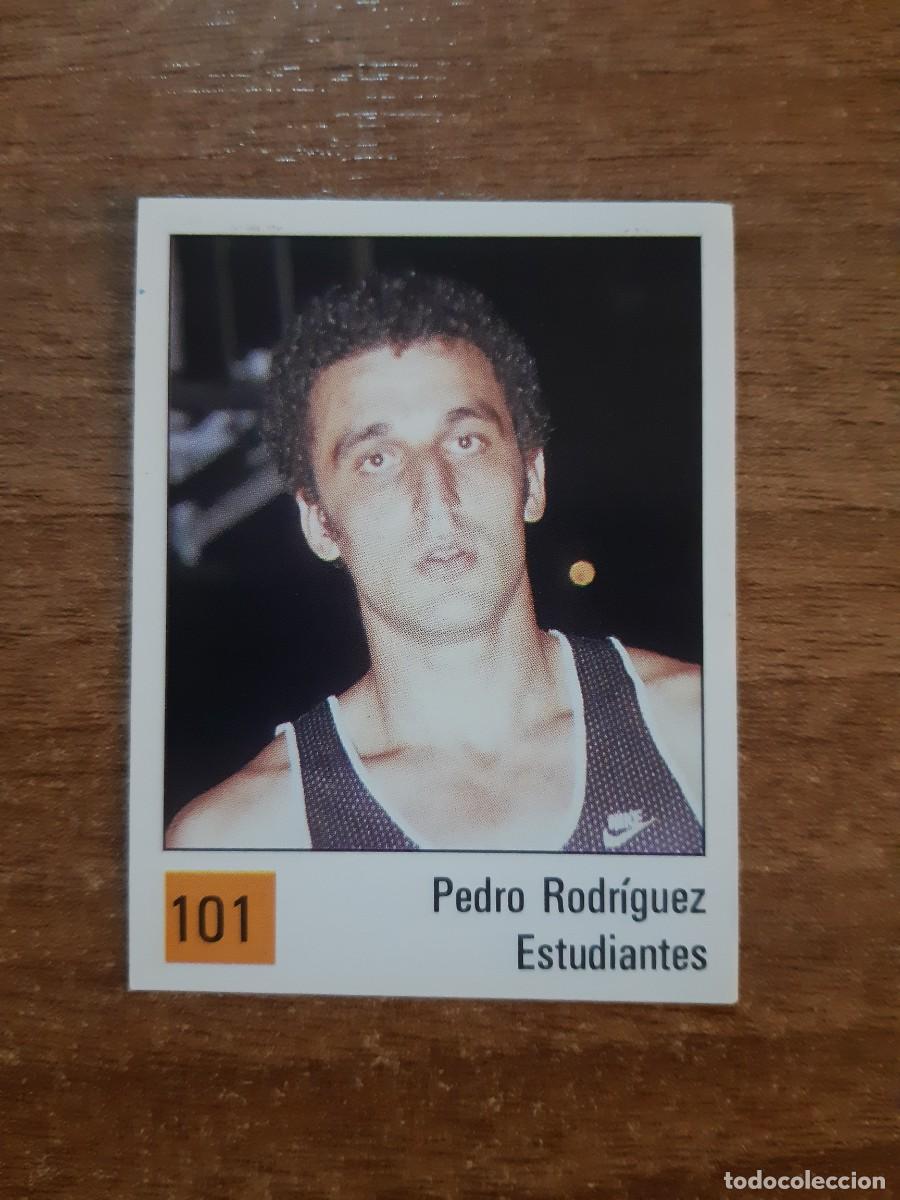 Sammelleidenschaft Sport: N&deg;101 PEDRO RODR&Iacute;GUEZ ESTUDIANTES LIGA ACB 1990 PANINI BASKET 90. NUNCA PEGADO, SIN PEGAR