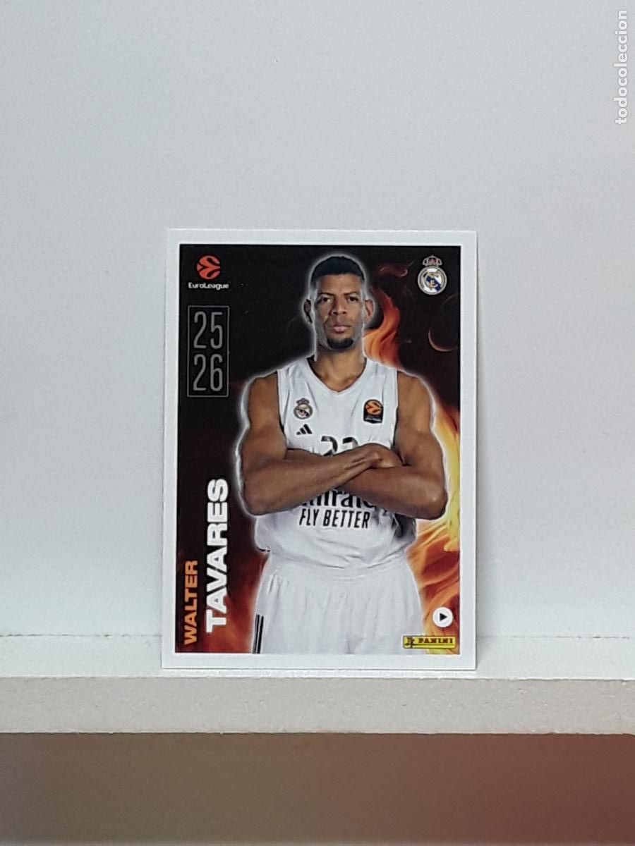 Sports collectibles: EUROLIGA 2025 2026 EUROLEAGUE 25 26 CROMO PANINI BALONCESTO N 20 REAL MADRID WALTER TAVARES