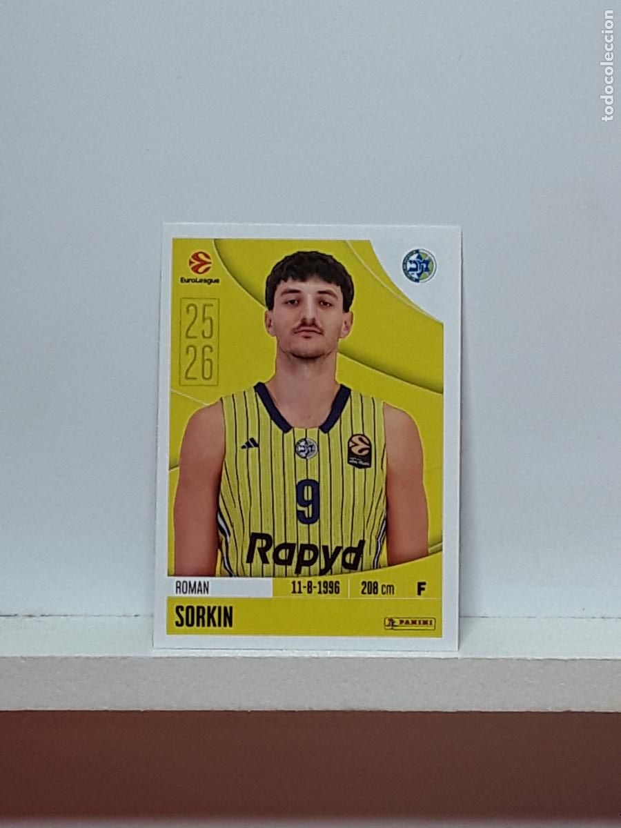 Collectionnisme sportif: EUROLIGA 2025 2026 EUROLEAGUE 25 26 CROMO PANINI BALONCESTO N 241 MACCABI TEL AVIV ROMAN SORKIN