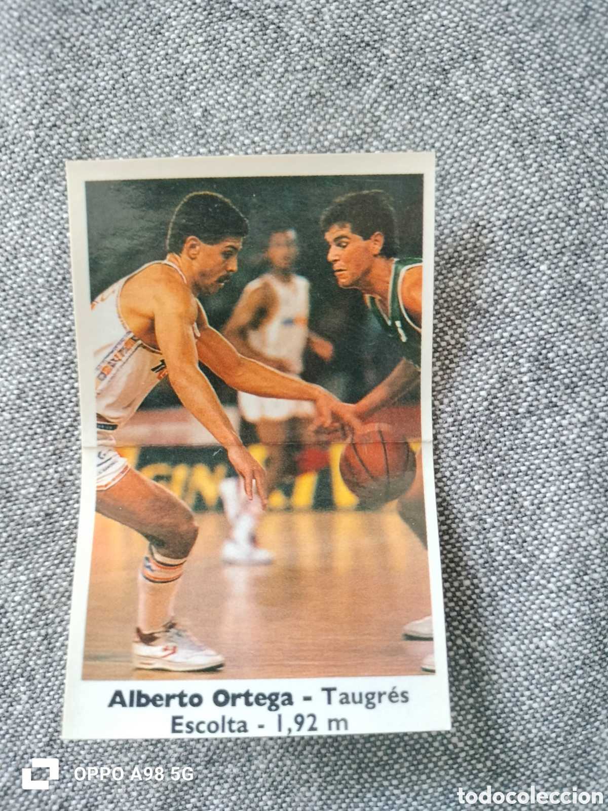 Coleccionismo deportivo: Cromo pegatina Bollycao 127 Alberto Ortega Taugr&eacute;s basket baloncesto liga temporada 1988 1989