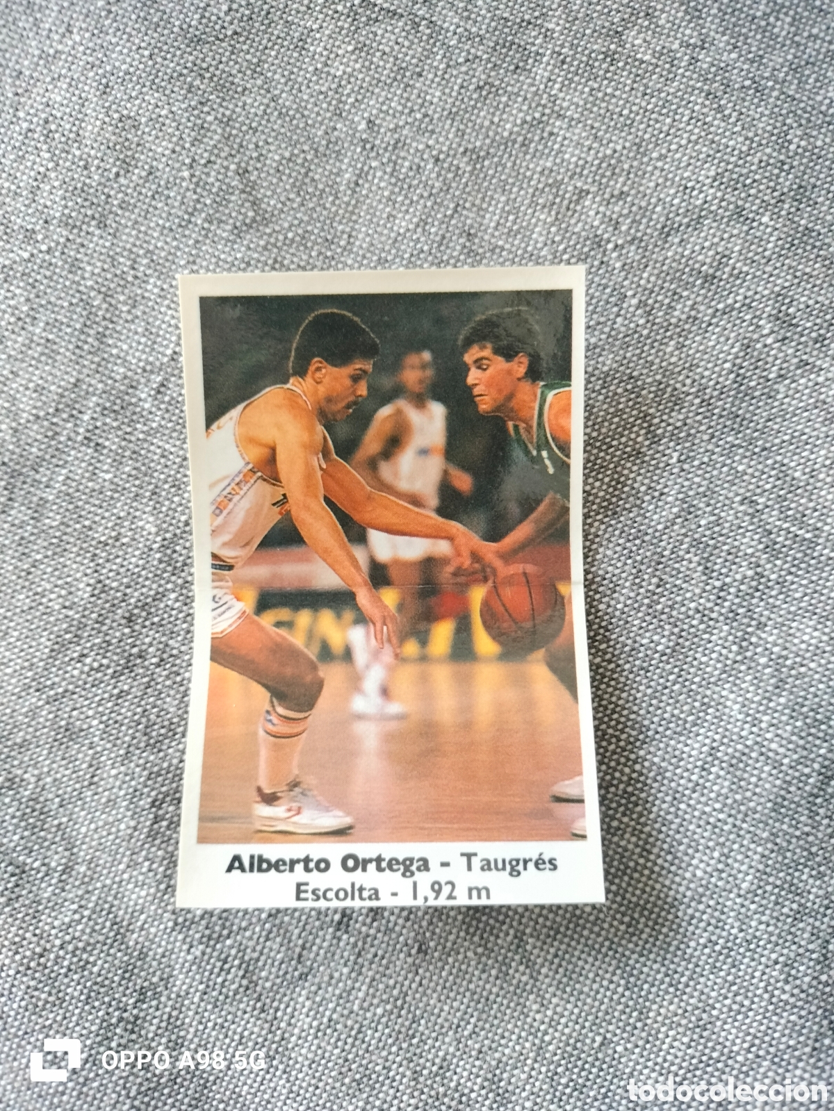 Coleccionismo deportivo: Cromo pegatina Bollycao 127 Alberto Ortega Taugr&eacute;s basket baloncesto liga temporada 88 89 1988 1989