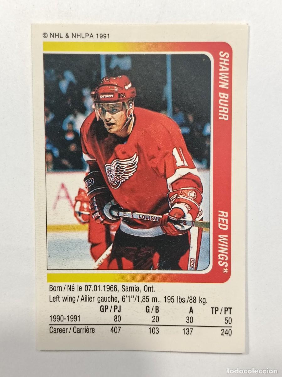 Coleccionismo deportivo: #135 SHAWN BURR (DETROIT RED WINGS) HOCKEY HIELO NHL 91/92 PANINI