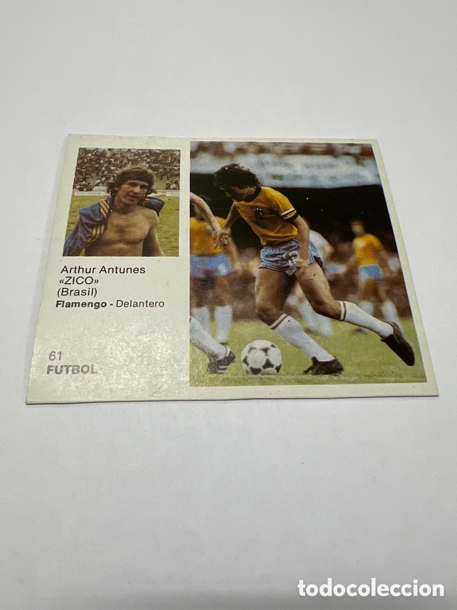 Sammelleidenschaft Sport: 1983 ZICO BRASIL N&ordm; 61 BRUGUERA SIN PEGAR