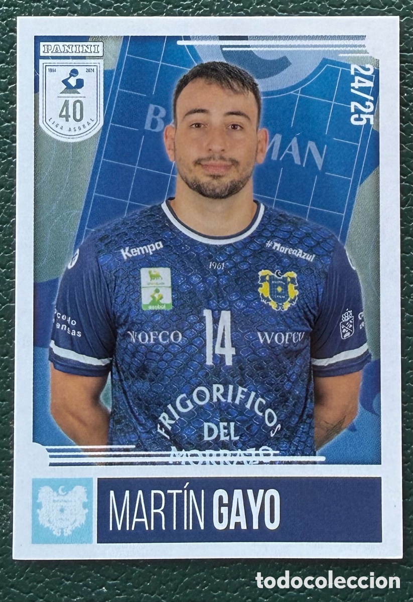 Sammelleidenschaft Sport: 270 MARTIN GAYO FRIGORIFICOS DEL MORRAZO PANINI LIGA PLENITUDE ASOBAL 2024 2025 24 25