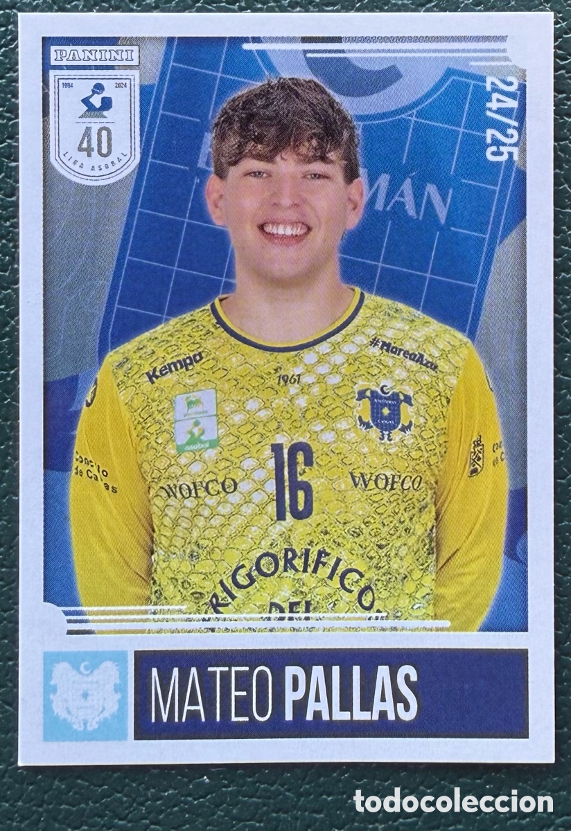 Sammelleidenschaft Sport: 271 MATEO PALLAS FRIGORIFICOS DEL MORRAZO PANINI LIGA PLENITUDE ASOBAL 2024 2025 24 25