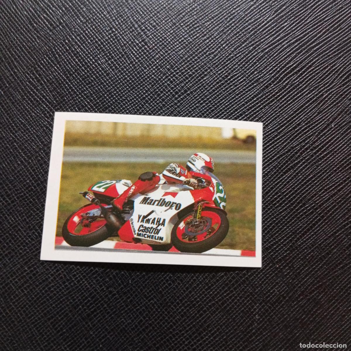 Collectionnisme sportif: 137 LUCA CADALORA EUROFLASH SUPER GRAND PRIX 1988 CROMO 88 MOTOCICLISMO - SIN PEGAR - B